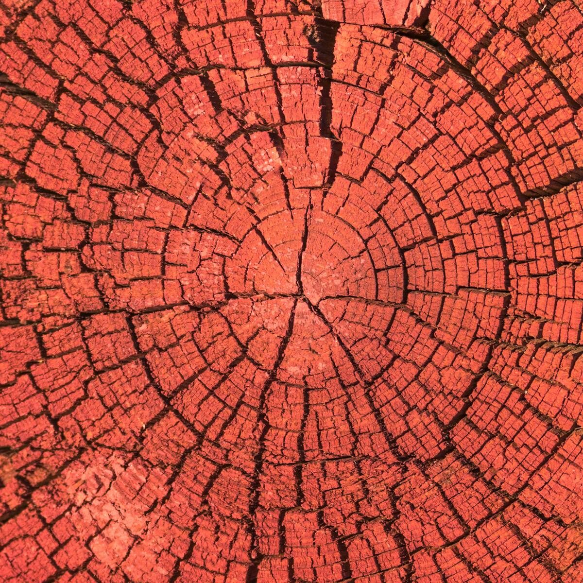 Impact of Forgery on Business Reputation